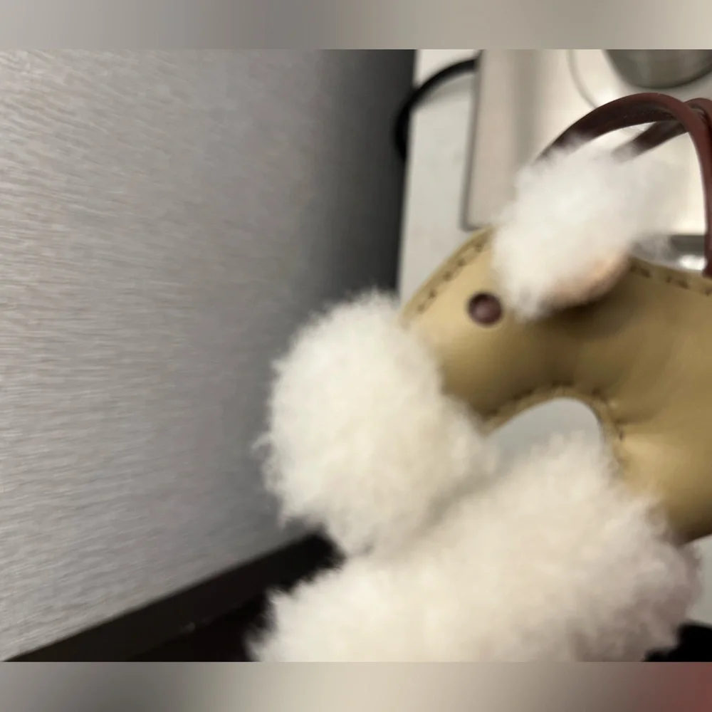 NIB Hermes Budy Bag Charm Etoupe - Picture 4 of 4